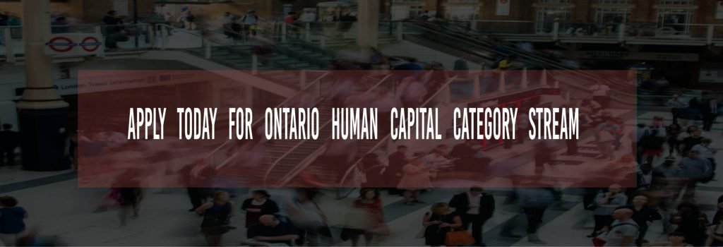 Human capital category