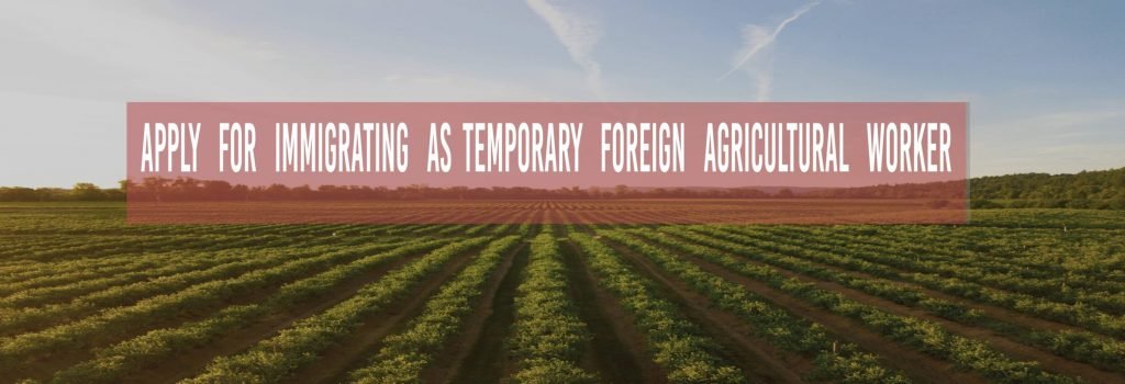 Temporary Foreign Agricultural Worker